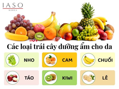 CÁC LOẠI TRÁI CÂY DƯỠNG ẨM CHO DA