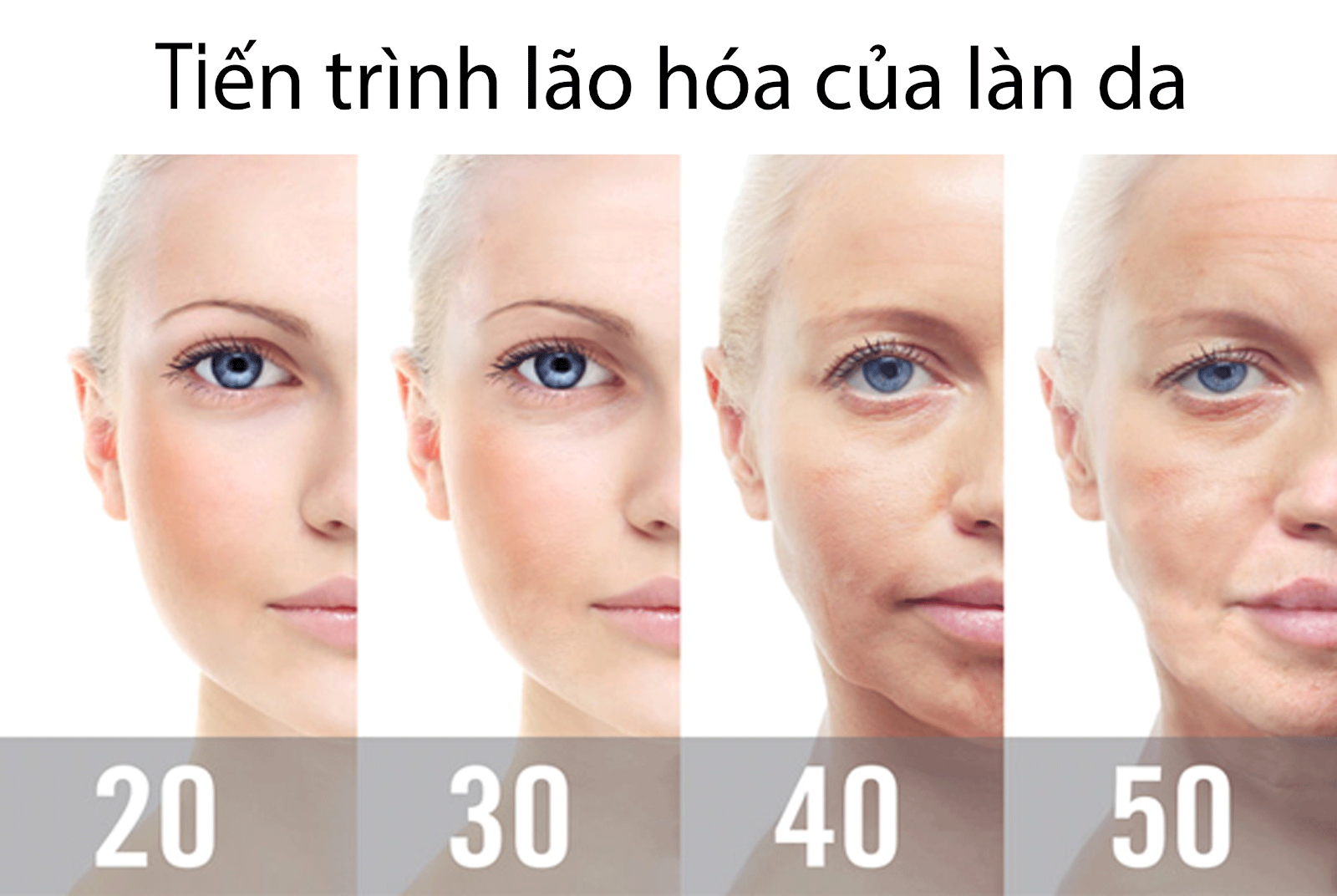 Quá trình lão hóa diễn ra như thế nào?