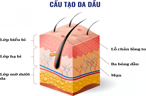 Tại Sao Da Khô Nhanh Lão Hóa Hơn Da Dầu?