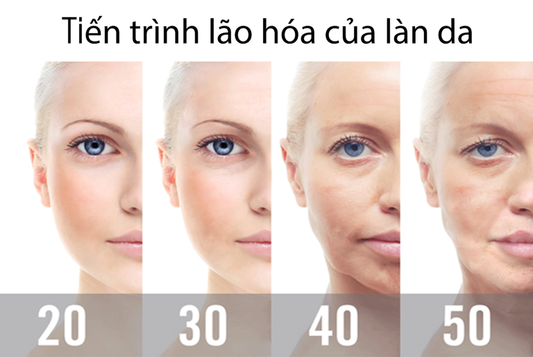 Quá trình lão hóa diễn ra như thế nào?